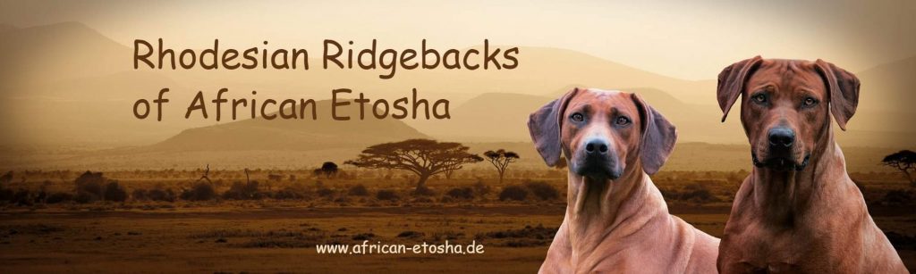 Etoshas Ridgebacks